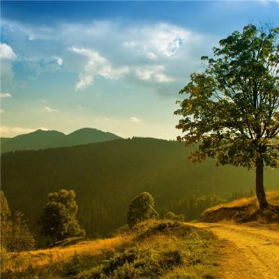 皇冠welcome娱乐登录入口截图